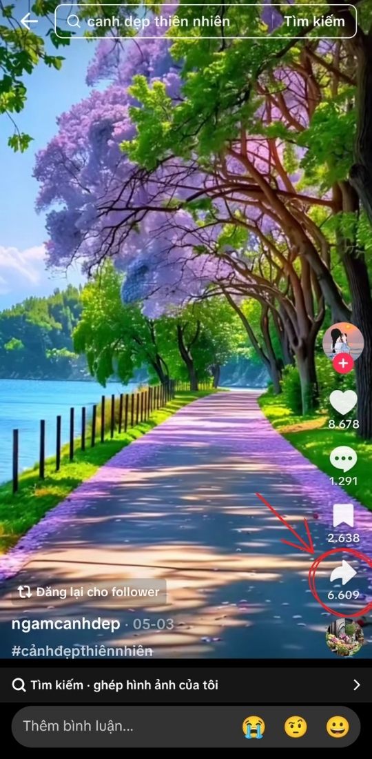 Biểu tượng nút chia sẻ trên TikTok
